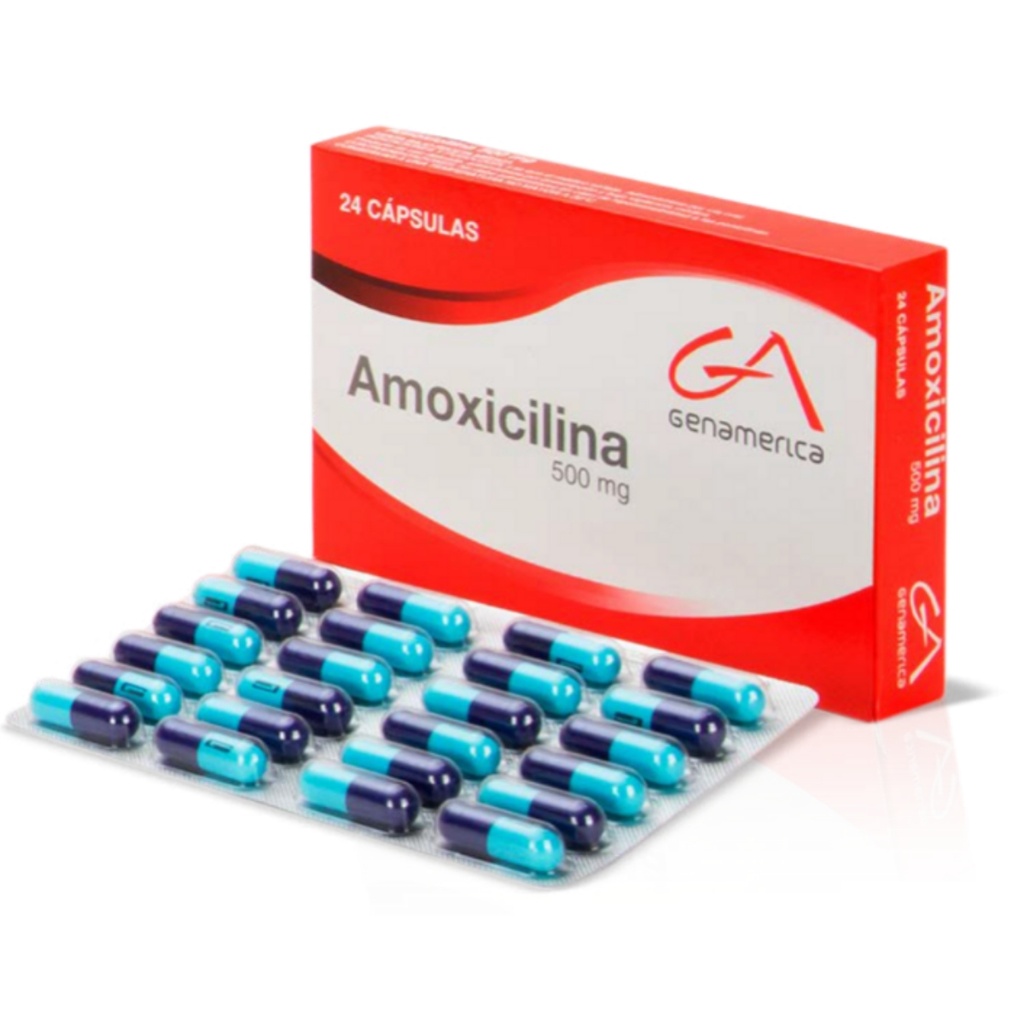 AMOXICILINA GA CAPX500MGX24